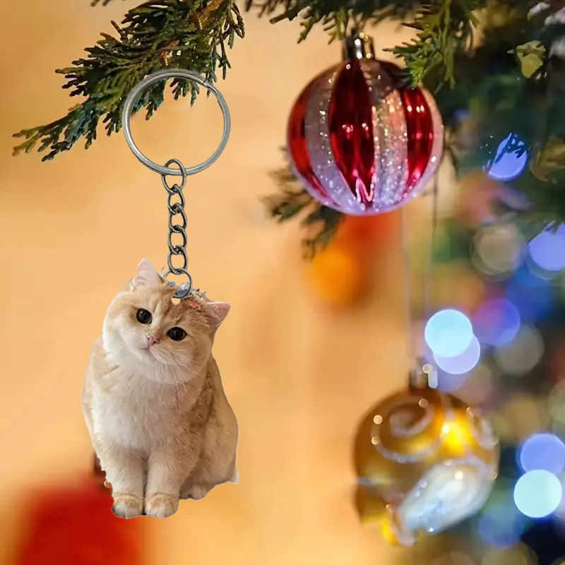 Zwart-witte kat sleutelhanger  - Resin Art Design Keychain recensie en prijs