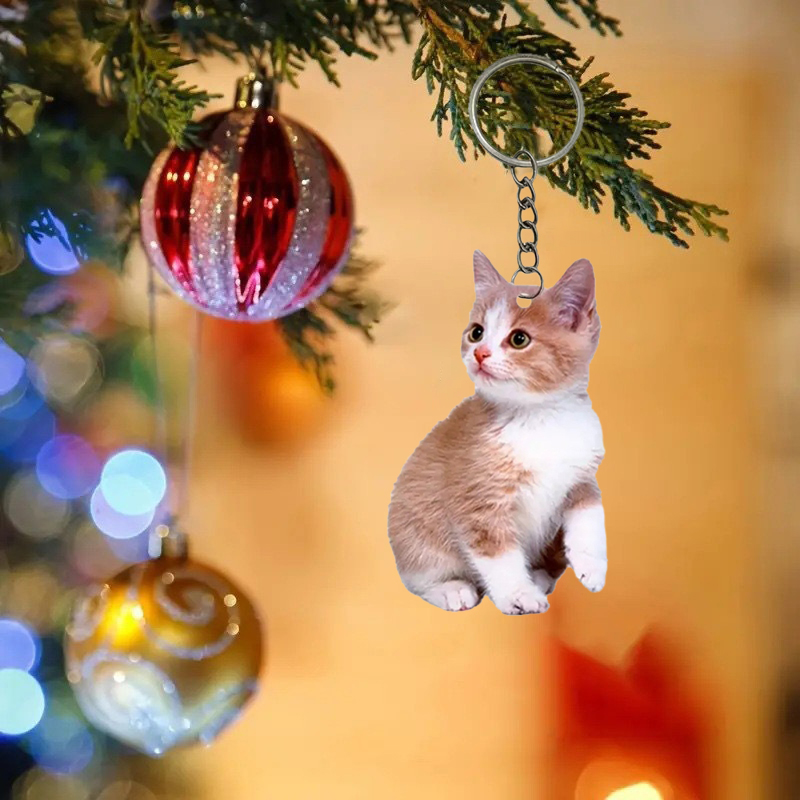 Zwart-witte kat sleutelhanger  - Resin Art Design Keychain recensie en prijs