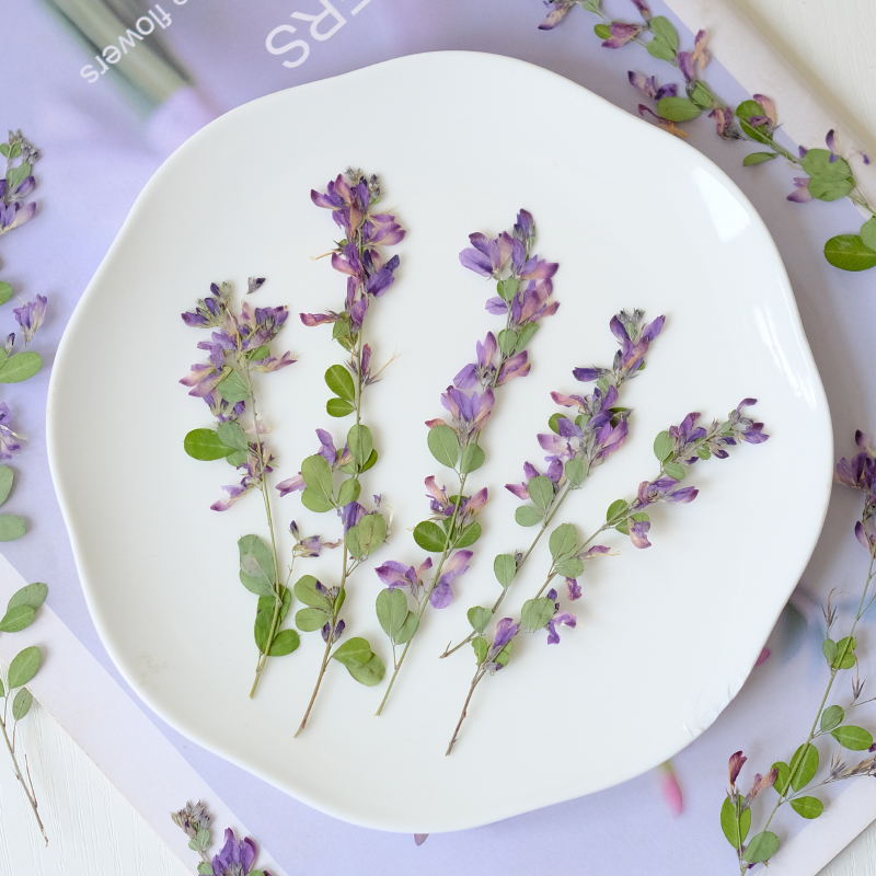 6 stuks, natuurlijke Lespedeza - Resin Art And Jewelry recensie en prijs