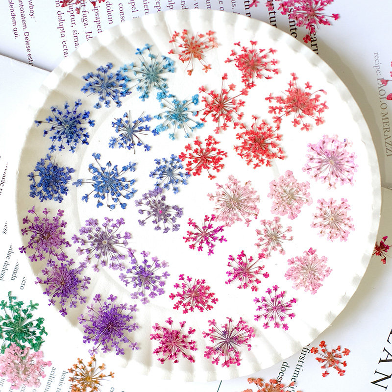 24 stuks, 2-2,5 cm, natuurlijk - Resin Art And Jewelry recensie en prijs